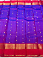Pure Kanjivaram